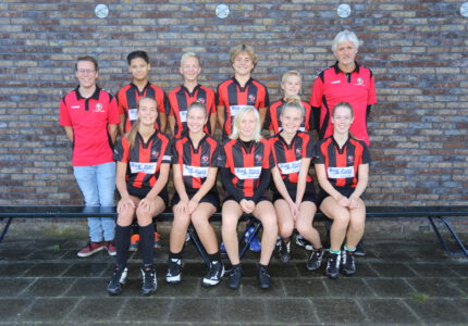 K.V. Mid-Fryslân / Jansma Burdaard B2 Seizoen 2018/2019