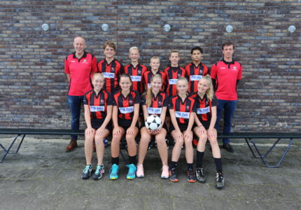 K.V. Mid-Fryslân / Jansma Burdaard B2 Seizoen 2019/2020
