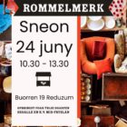 Rommelmerk Reduzum 24-06-23